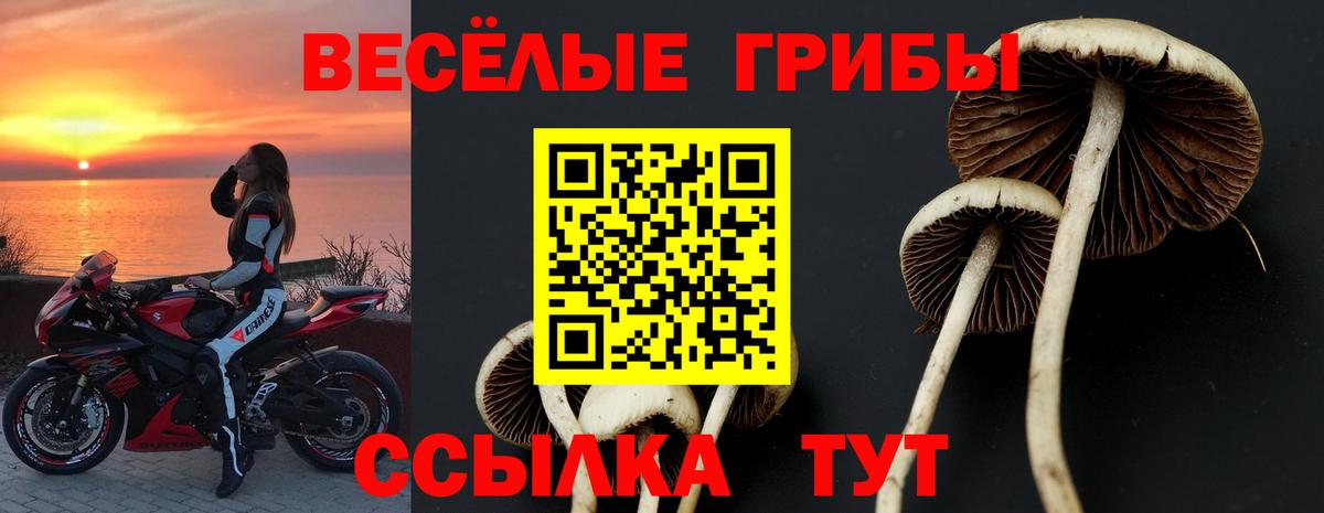 Галлюциногенные грибы Psilocybine cubensis  Вход с VPN  Черкесск 